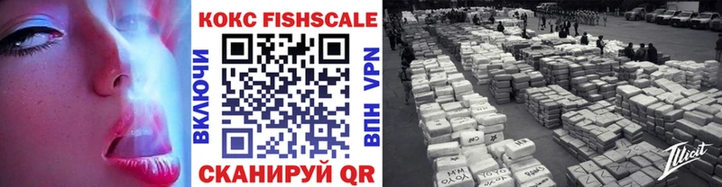 COCAIN Fish Scale  Бавлы 