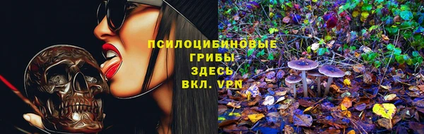 прущая мука Алзамай