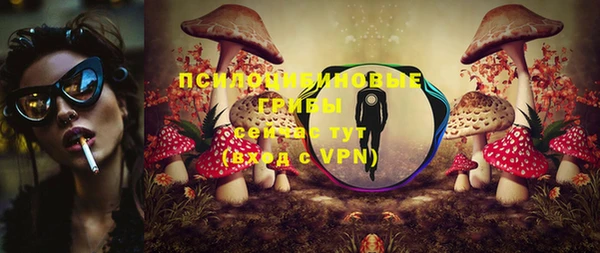 прущая мука Алзамай